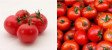 Tomato , 1kg