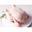 Chiken fresh 1kg