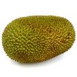 Kathal 1kg