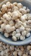 Lahsun 250g