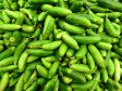 Kundru 500g