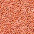 Masoor Dal 1 kg