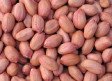 Moongfali 500 g