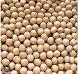 Chola Matar 1kg